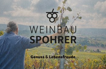 Weinbau Spohrer Startseite und A
