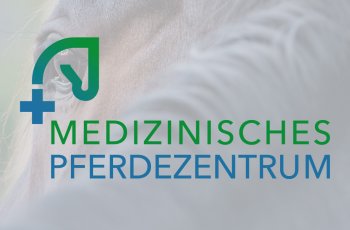 Medizinisches Pferdezentrum, Corporate Design, Logo