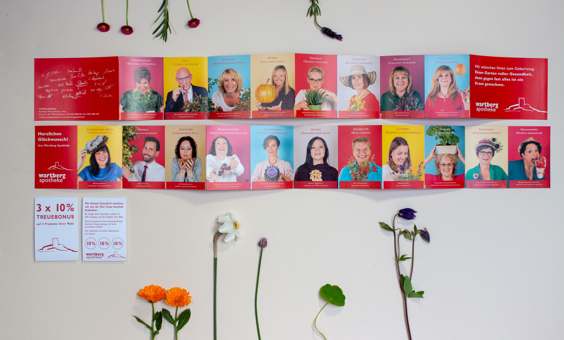 1809_wartberg apotheke leporello 1809_wartberg apotheke leporello